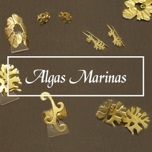 2. Algas Marinas
